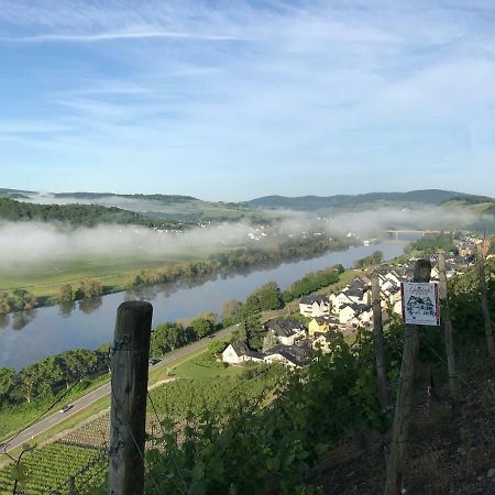 Wein- Und Gaestehaus Genetsch ليزا المظهر الخارجي الصورة