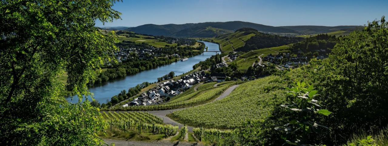 Wein- Und Gaestehaus Genetsch ليزا المظهر الخارجي الصورة