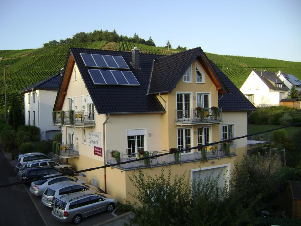 Wein- Und Gaestehaus Genetsch ليزا المظهر الخارجي الصورة