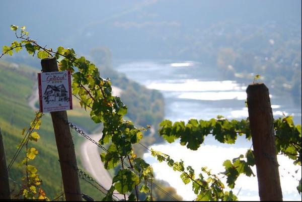 Wein- Und Gaestehaus Genetsch ليزا المظهر الخارجي الصورة