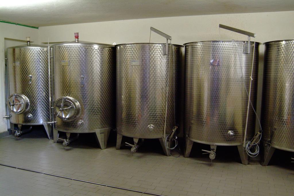 Wein- Und Gaestehaus Genetsch ليزا المظهر الخارجي الصورة
