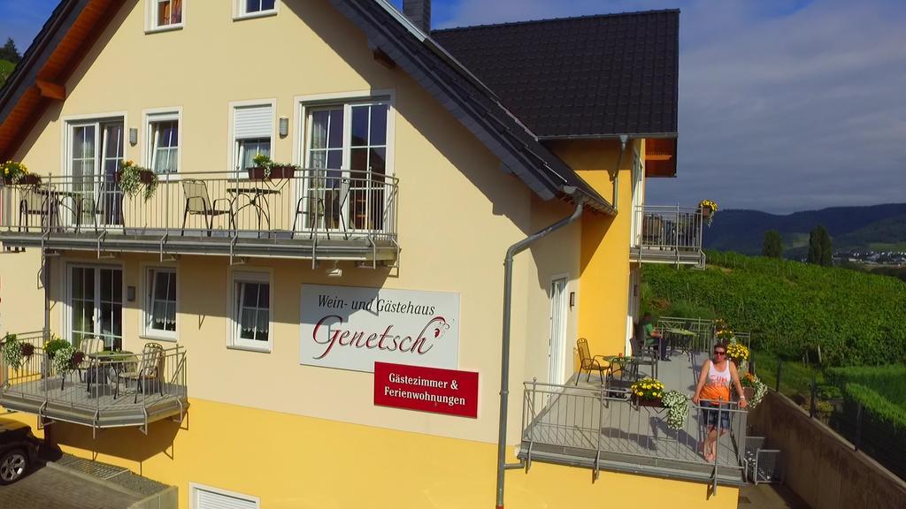 Wein- Und Gaestehaus Genetsch ليزا المظهر الخارجي الصورة