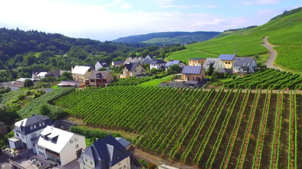 Wein- Und Gaestehaus Genetsch ليزا المظهر الخارجي الصورة