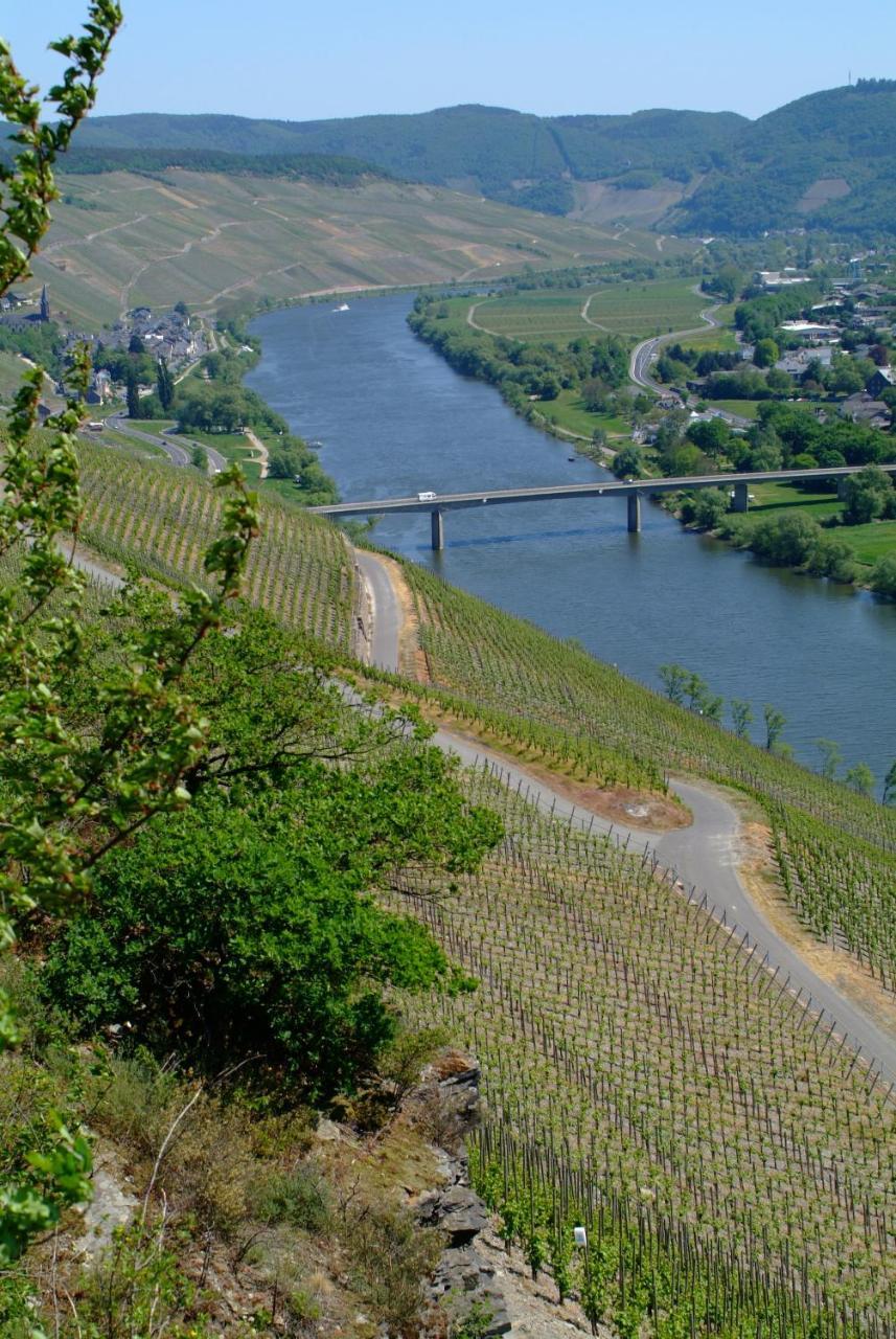 Wein- Und Gaestehaus Genetsch ليزا المظهر الخارجي الصورة