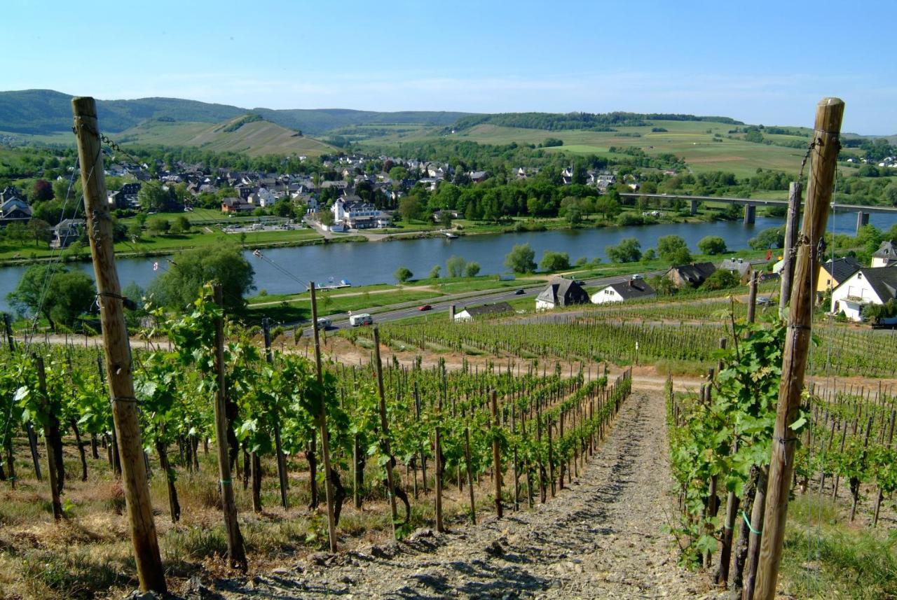 Wein- Und Gaestehaus Genetsch ليزا المظهر الخارجي الصورة