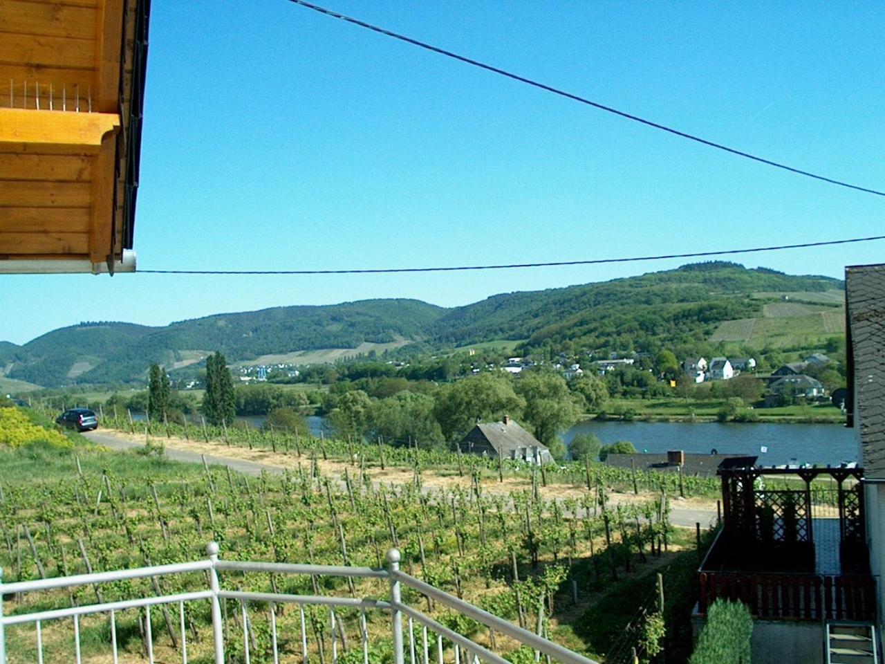 Wein- Und Gaestehaus Genetsch ليزا المظهر الخارجي الصورة