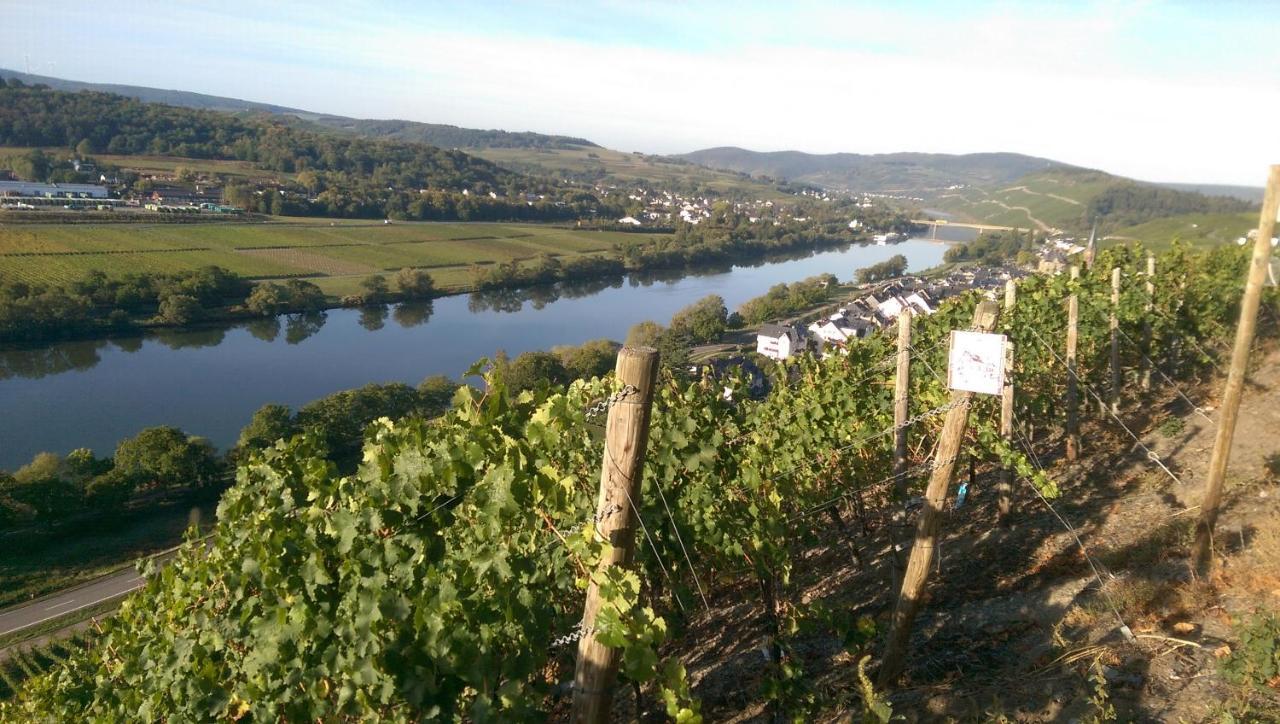 Wein- Und Gaestehaus Genetsch ليزا المظهر الخارجي الصورة